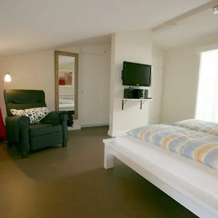 Haus-einsiedlerkrebs