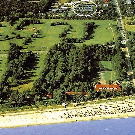Haus-einsiedlerkrebs Wyk auf Föhr